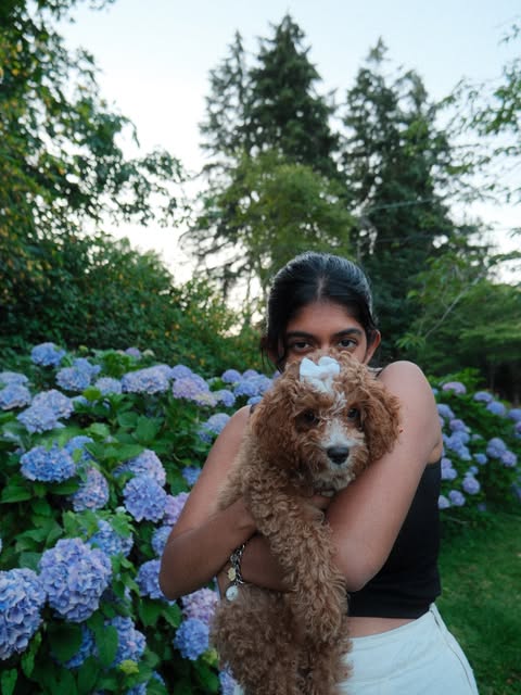 A woman holding a curly-haired dog among blue hydrangeas
